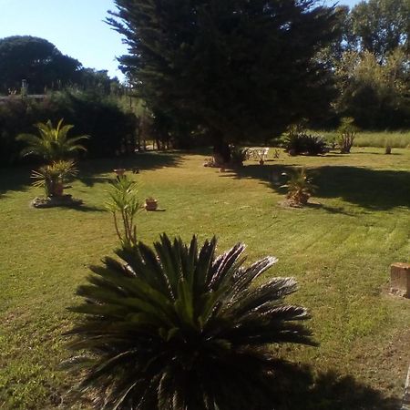 Bed and Breakfast Mamena Paestum Exteriér fotografie