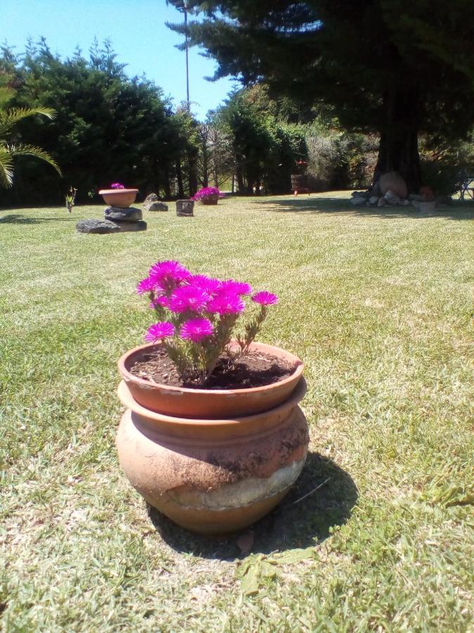Bed and Breakfast Mamena Paestum Exteriér fotografie