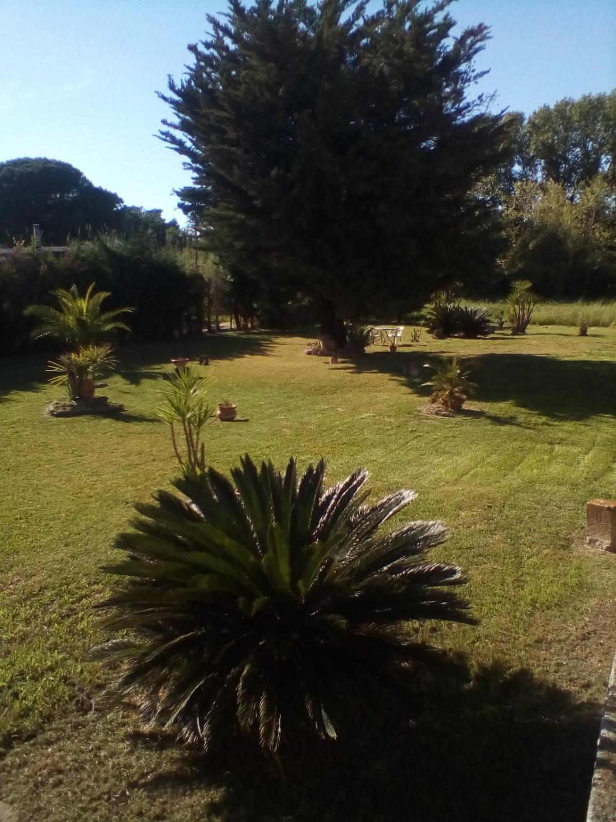 Bed and Breakfast Mamena Paestum Exteriér fotografie